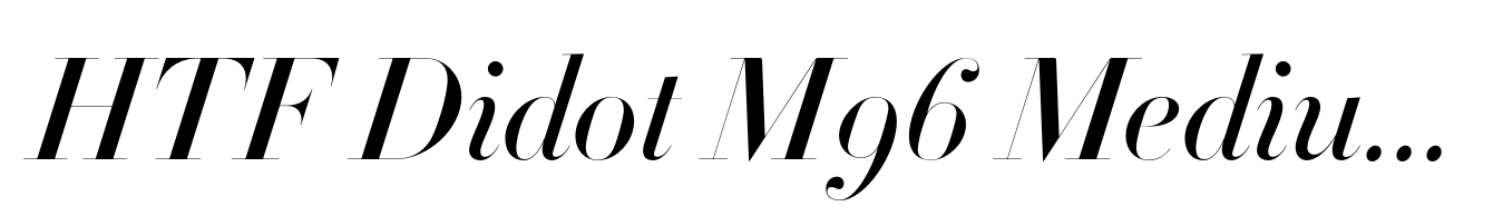 HTF Didot M96 Medium Italic
